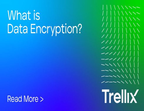 What Is Data Encryption? | Trellix