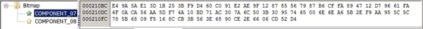 Figure 12 Encrypted configuration values in the DLL resources.