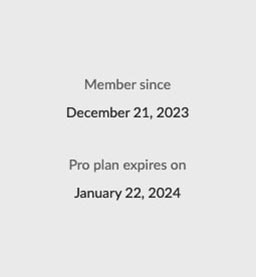 Figure 6 - Information on the related Mega Pro account