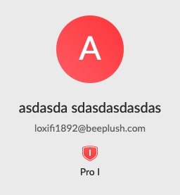 Figure 6 - Information on the related Mega Pro account